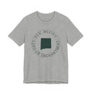 New Mexico T-Shirt — State Graphic Tee-4