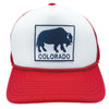 Kid's Colorado Trucker Hat (Ages 2-12) - Colorado Buffalo Snapback Youth Hat  / Kid's Hat