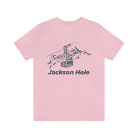 Buy pink Jackson Hole, Wyoming T-Shirt - Retro Unisex Jackson Hole T Shirt