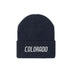 True Navy