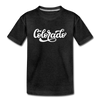 Colorado Youth T-Shirt - Hand Lettered Youth Colorado Tee - charcoal gray