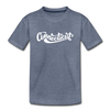 Connecticut Youth T-Shirt - Hand Lettered Youth Connecticut Tee - heather blue