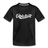 Connecticut Youth T-Shirt - Hand Lettered Youth Connecticut Tee - charcoal gray