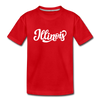 Illinois Youth T-Shirt - Hand Lettered Youth Illinois Tee - red