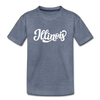 Illinois Youth T-Shirt - Hand Lettered Youth Illinois Tee - heather blue