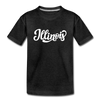 Illinois Youth T-Shirt - Hand Lettered Youth Illinois Tee - charcoal gray