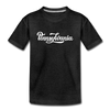 Pennsylvania Youth T-Shirt - Hand Lettered Youth Pennsylvania Tee - charcoal gray