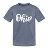 Ohio Youth T-Shirt - Hand Lettered Youth Ohio Tee - heather blue