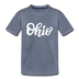 Ohio Youth T-Shirt - Hand Lettered Youth Ohio Tee - heather blue