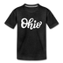 Ohio Youth T-Shirt - Hand Lettered Youth Ohio Tee - charcoal gray