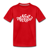 New Mexico Youth T-Shirt - Hand Lettered Youth New Mexico Tee - red
