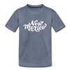 New Mexico Youth T-Shirt - Hand Lettered Youth New Mexico Tee - heather blue