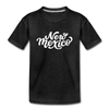 New Mexico Youth T-Shirt - Hand Lettered Youth New Mexico Tee - charcoal gray