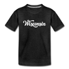 Wisconsin Youth T-Shirt - Hand Lettered Youth Wisconsin Tee - charcoal gray