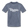 Virginia Youth T-Shirt - Hand Lettered Youth Virginia Tee - heather blue