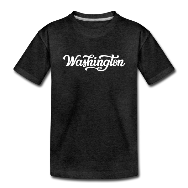 Washington Youth T-Shirt - Hand Lettered Youth Washington Tee - charcoal gray