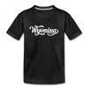 Wyoming Youth T-Shirt - Hand Lettered Youth Wyoming Tee - charcoal gray