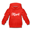 Illinois Youth Hoodie - Hand Lettered Youth Illinois Hooded Sweatshirt - red