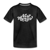 New Mexico Toddler T-Shirt - Hand Lettered New Mexico Toddler Tee - charcoal gray