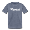 Mississippi Toddler T-Shirt - Hand Lettered Mississippi Toddler Tee - heather blue