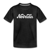 Nevada Toddler T-Shirt - Hand Lettered Nevada Toddler Tee - charcoal gray