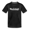 Massachusetts Toddler T-Shirt - Hand Lettered Massachusetts Toddler Tee - charcoal gray