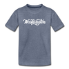 Washington Toddler T-Shirt - Hand Lettered Washington Toddler Tee - heather blue