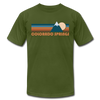 Colorado Springs, Colorado T-Shirt - Retro Mountain Unisex Colorado Springs T Shirt - olive