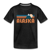 Alaska Youth T-Shirt - Retro Mountain Youth Alaska Tee - charcoal gray