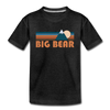 Big Bear, California Youth T-Shirt - Retro Mountain Youth Big Bear Tee - charcoal gray