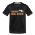 Big Bear, California Youth T-Shirt - Retro Mountain Youth Big Bear Tee - charcoal gray