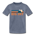 Big Sky, Montana Youth T-Shirt - Retro Mountain Youth Big Sky Tee - heather blue