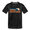 Keystone, Colorado Toddler T-Shirt - Retro Mountain Keystone Toddler Tee - charcoal gray