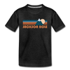 Jackson Hole, Wyoming Toddler T-Shirt - Retro Mountain Jackson Hole Toddler Tee - charcoal gray