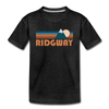 Ridgway, Colorado Toddler T-Shirt - Retro Mountain Ridgway Toddler Tee - charcoal gray