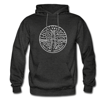 Delaware Hoodie - State Design Unisex Delaware Hooded Sweatshirt - charcoal gray