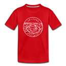 Arizona Youth T-Shirt - State Design Youth Arizona Tee - red