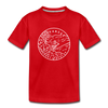 Arkansas Youth T-Shirt - State Design Youth Arkansas Tee - red