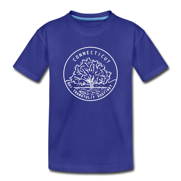 Connecticut Youth T-Shirt - State Design Youth Connecticut Tee - royal blue