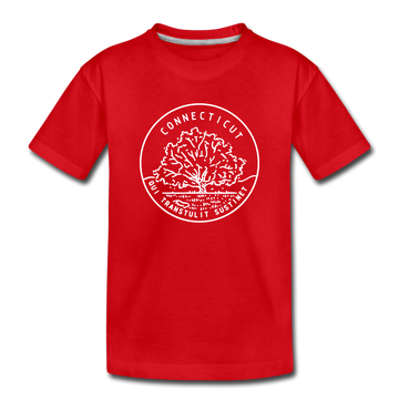 Connecticut Youth T-Shirt - State Design Youth Connecticut Tee - red