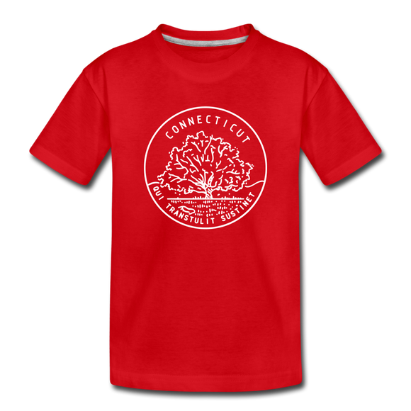 Connecticut Youth T-Shirt - State Design Youth Connecticut Tee - red