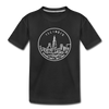 Illinois Youth T-Shirt - State Design Youth Illinois Tee - black