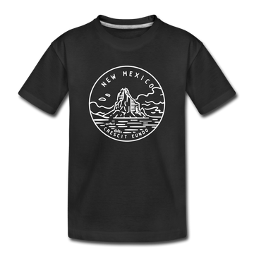 New Mexico Youth T-Shirt - State Design Youth New Mexico Tee - black