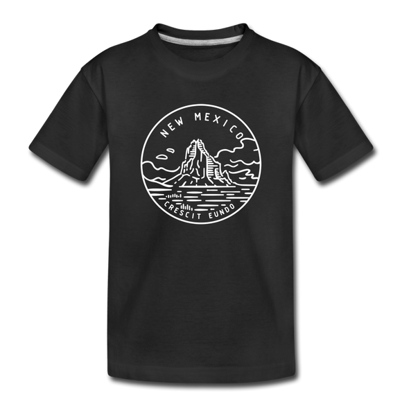New Mexico Youth T-Shirt - State Design Youth New Mexico Tee - black