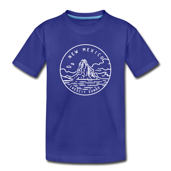 New Mexico Youth T-Shirt - State Design Youth New Mexico Tee - royal blue