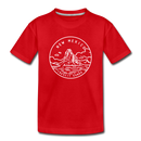 New Mexico Youth T-Shirt - State Design Youth New Mexico Tee - red