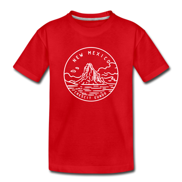 New Mexico Youth T-Shirt - State Design Youth New Mexico Tee - red