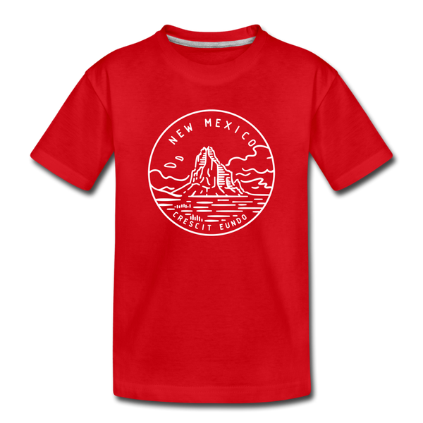 New Mexico Youth T-Shirt - State Design Youth New Mexico Tee - red
