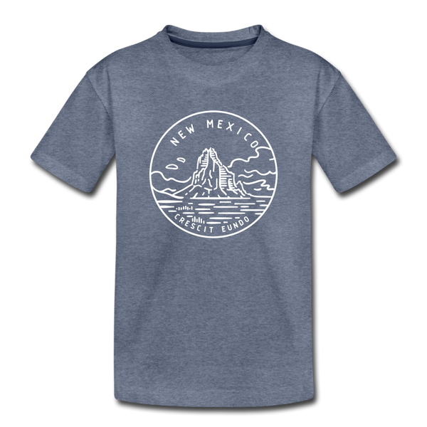 New Mexico Youth T-Shirt - State Design Youth New Mexico Tee - heather blue