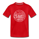Virginia Youth T-Shirt - State Design Youth Virginia Tee - red